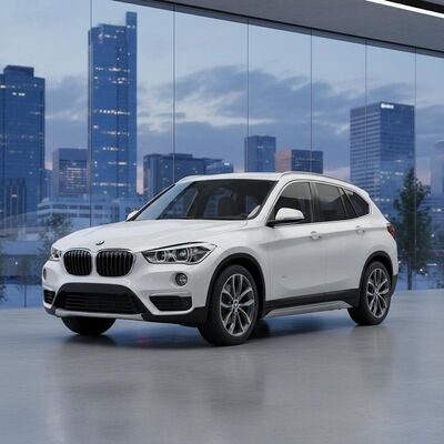 BMW X1 F48 AC Compressor with R134a Refrigerant 12V Rated Voltage and 110mm Pulley Diameter